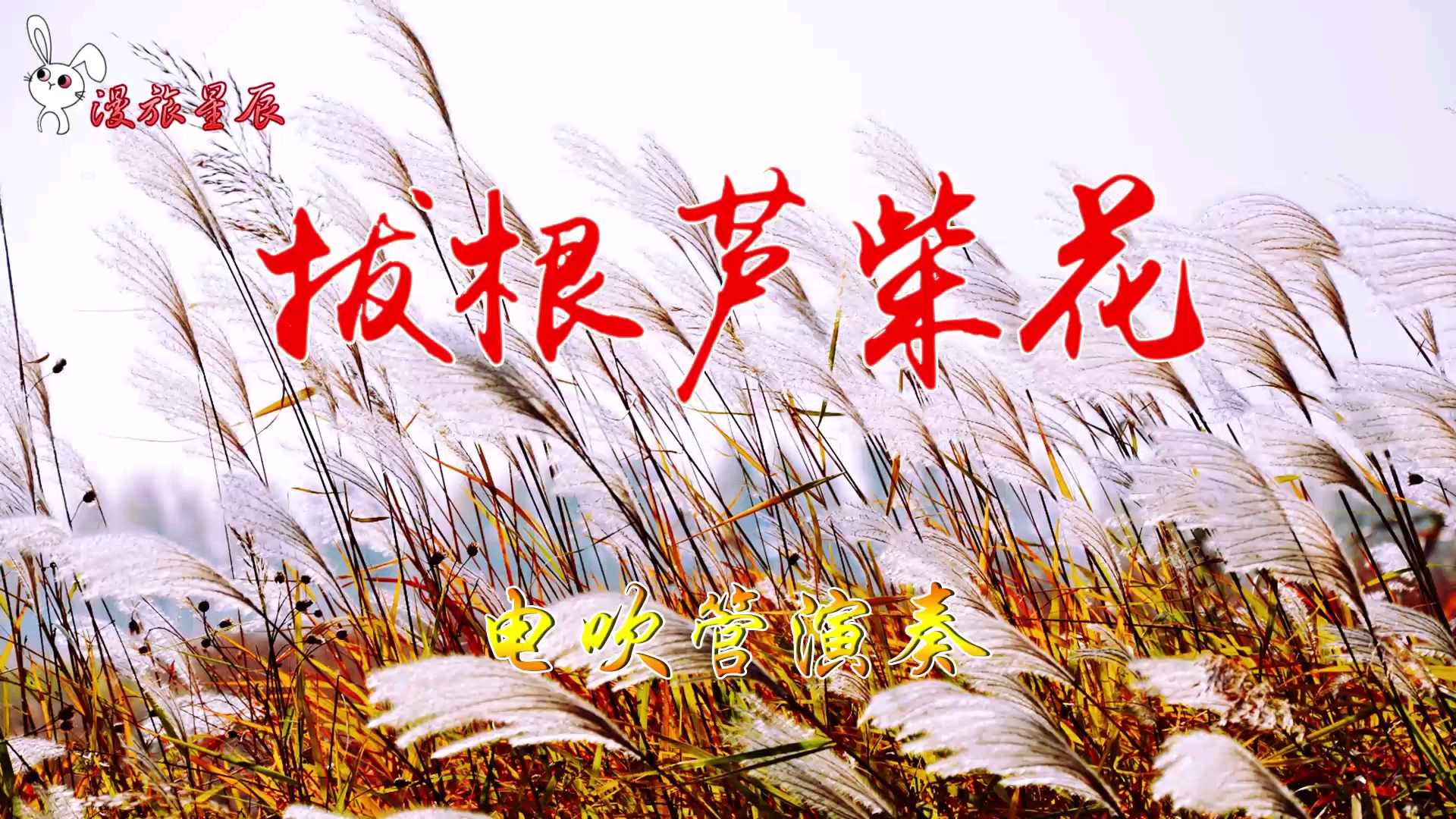 江苏民歌《拔根芦柴花》电吹管29#28#音色演奏#欢乐过中秋#爱生活爱