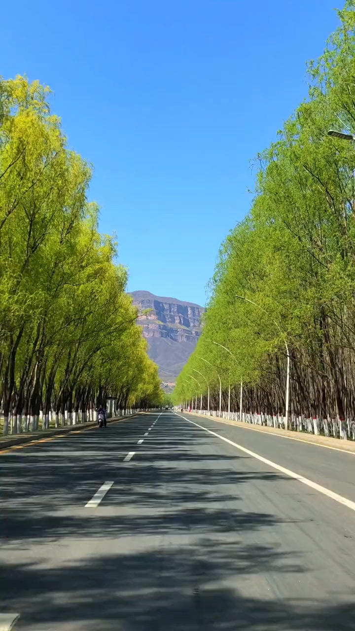 林州:迎宾大道,最美的一道路.