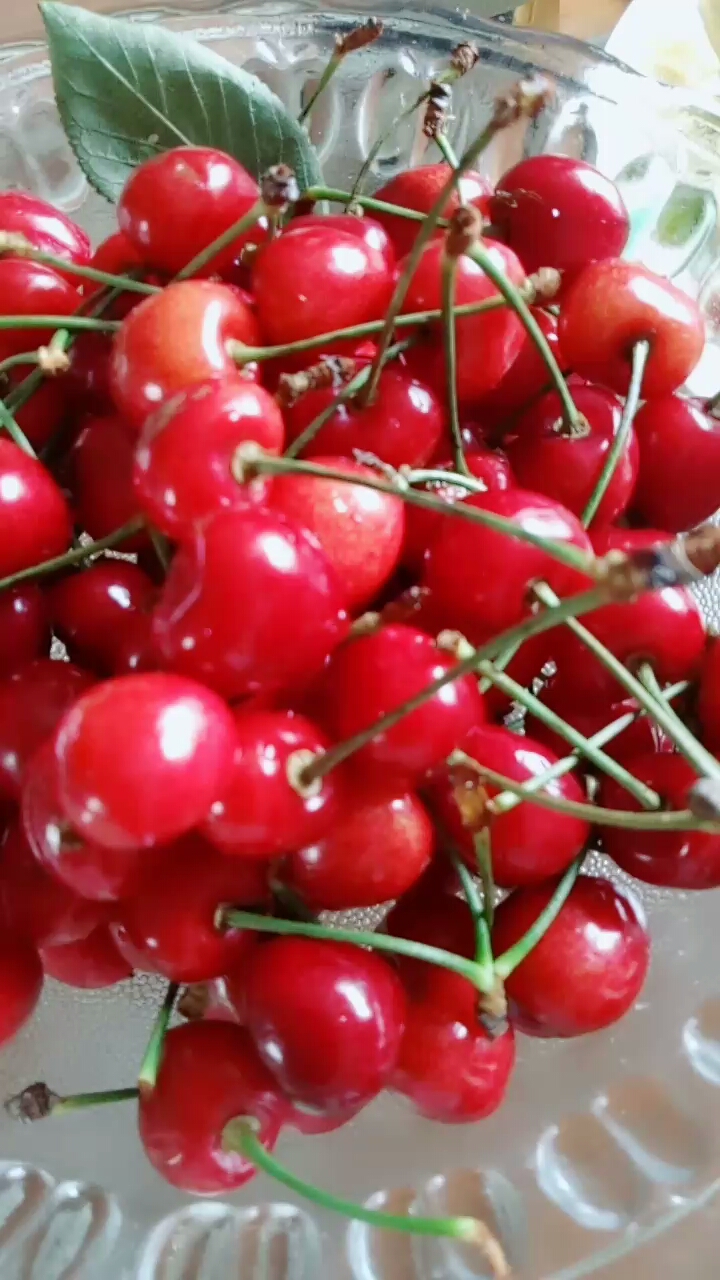 新鲜水樱桃.