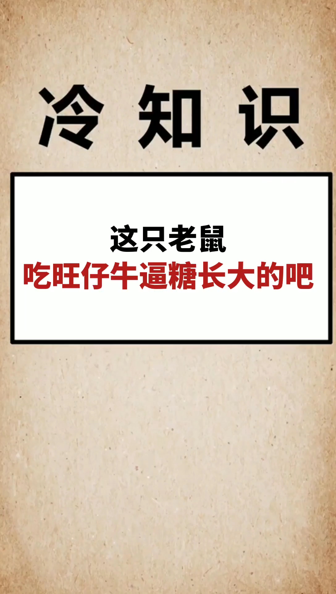 我要上热门#老鼠成精啦!