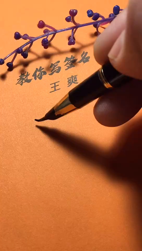 王爽你的签名好了请惠存,留名的越来越少?