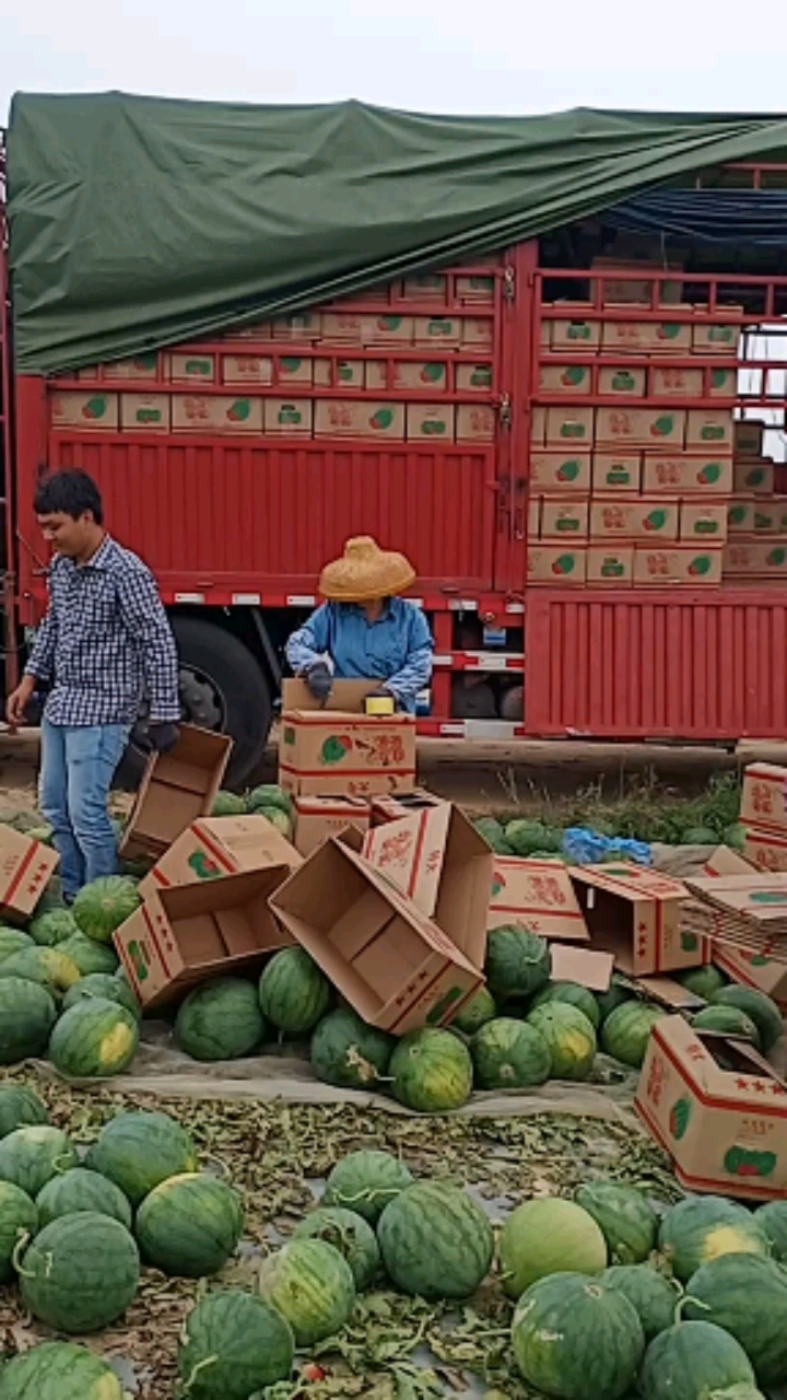 货车海南装西瓜,现在的西瓜是黄金,运费是铁
