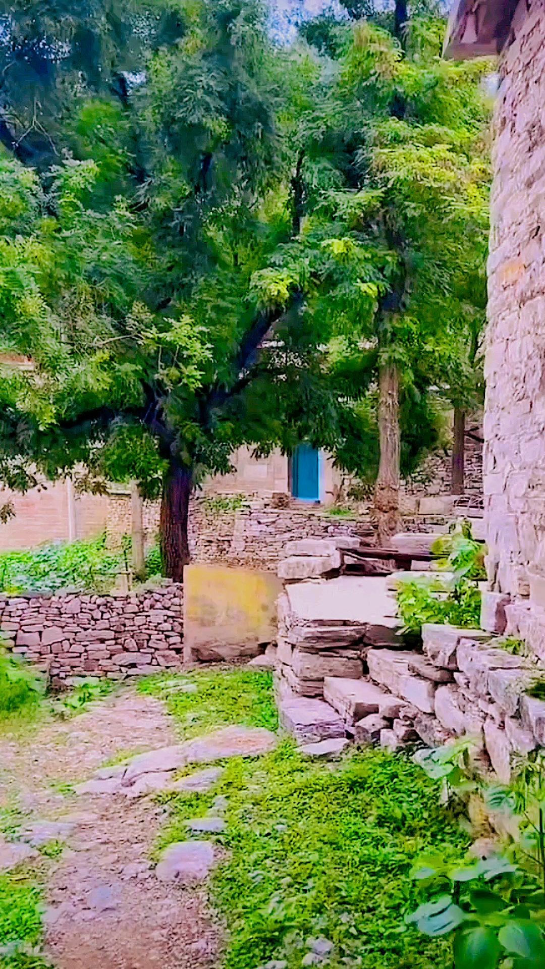 乡村风景(拍摄于磁县陶泉乡北王庄)