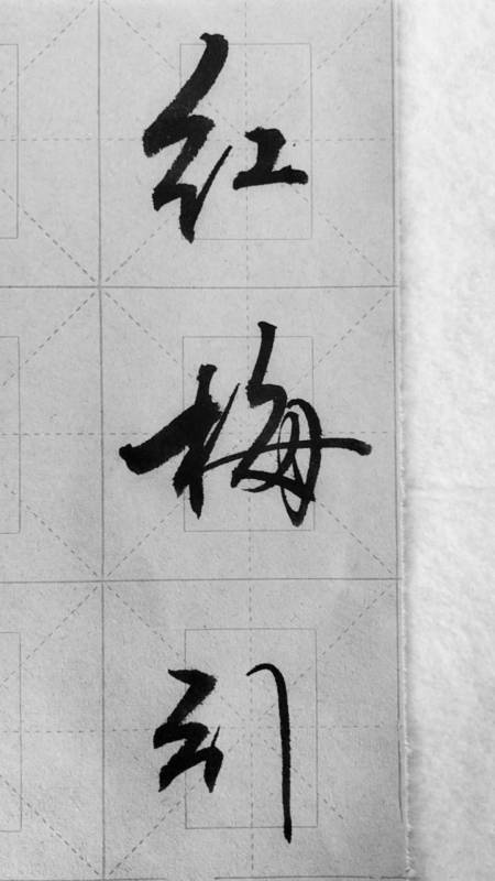 江湖笔法写行书:红梅引(词牌名)