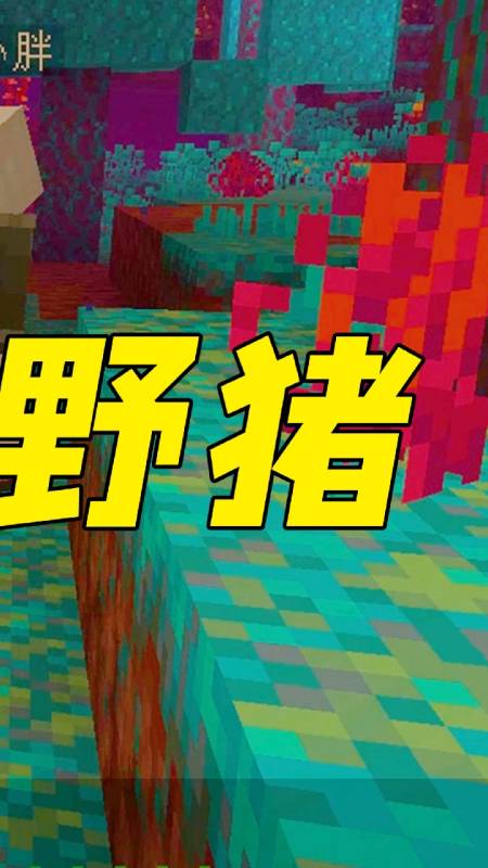 我的世界我的世界地狱里的野猪竟会主动攻击击杀还掉落皮革3