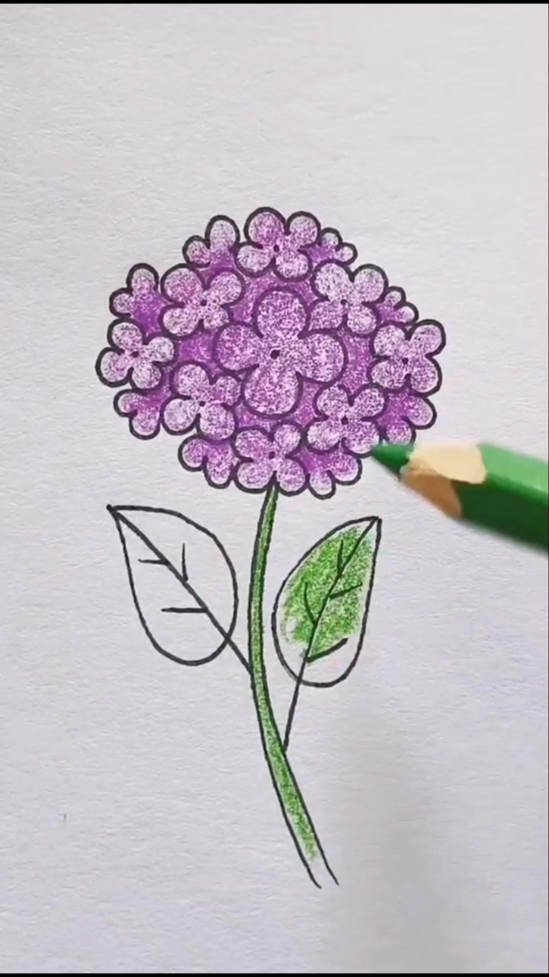 简笔画#李点点简笔画～用小点加括号就能画出绣球花,这样画简直太