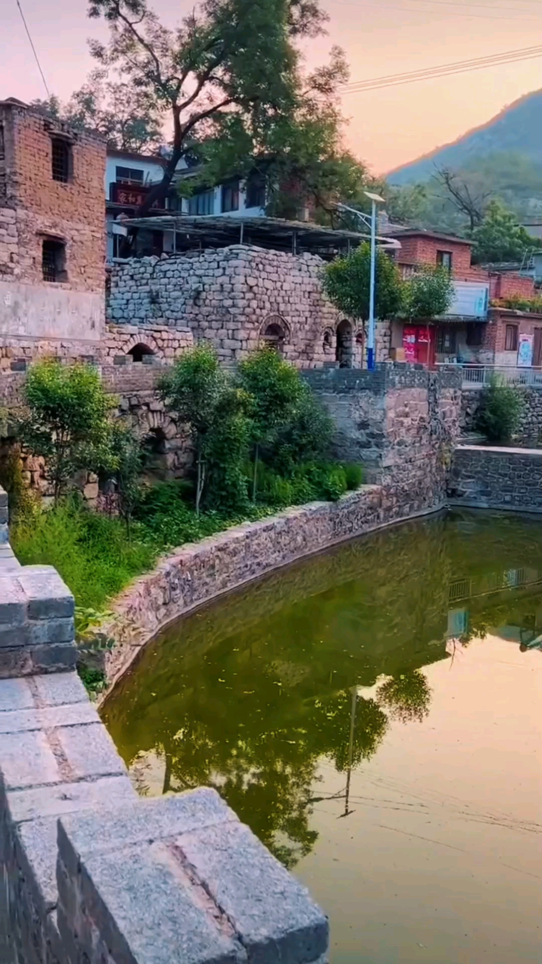 磁县东花园村风景