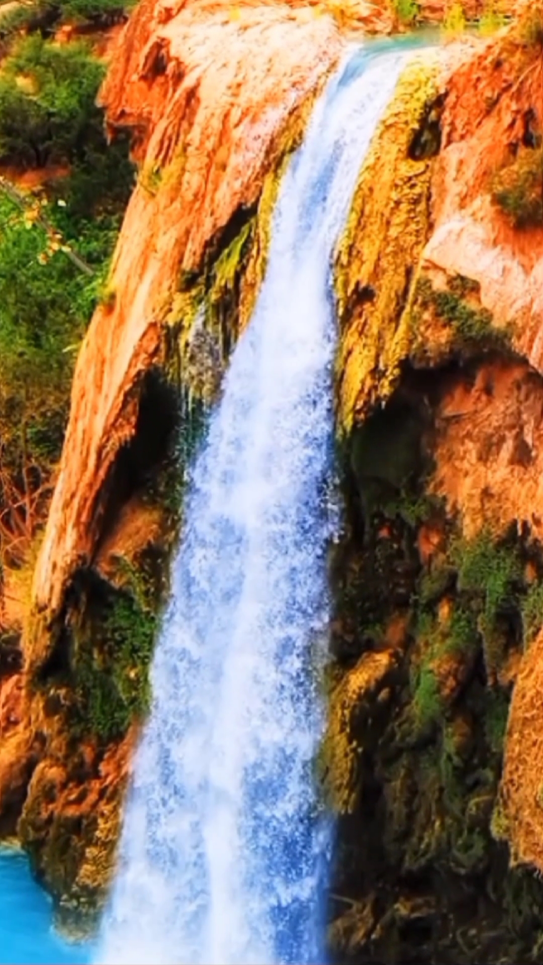 最美的风景#如果这个画面能治愈你,那就多翻翻我的作品吧,这样我就