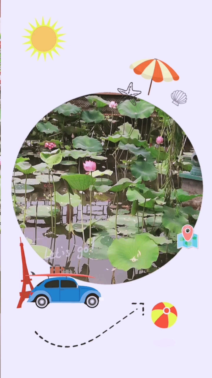 风摆荷叶