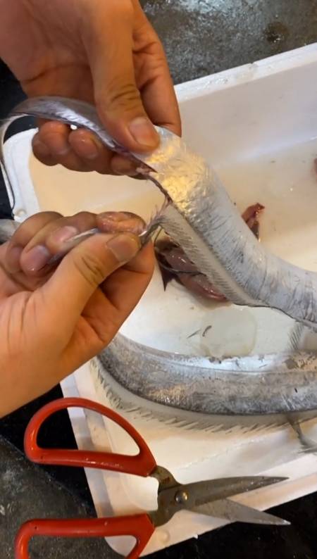 教你一招轻松去带鱼刺,一看就会是不是非常简单
