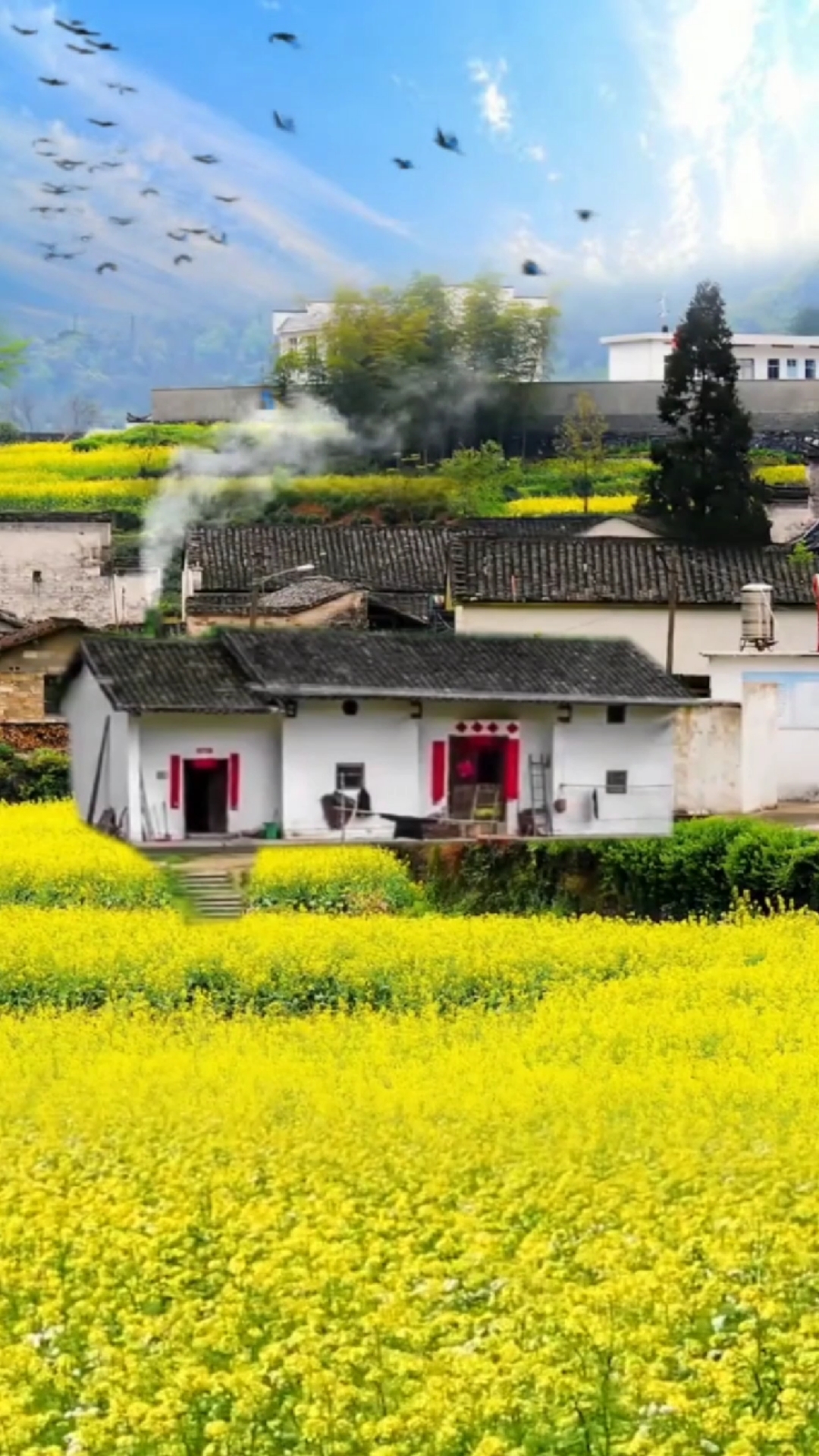 大自然美景#美丽的乡村