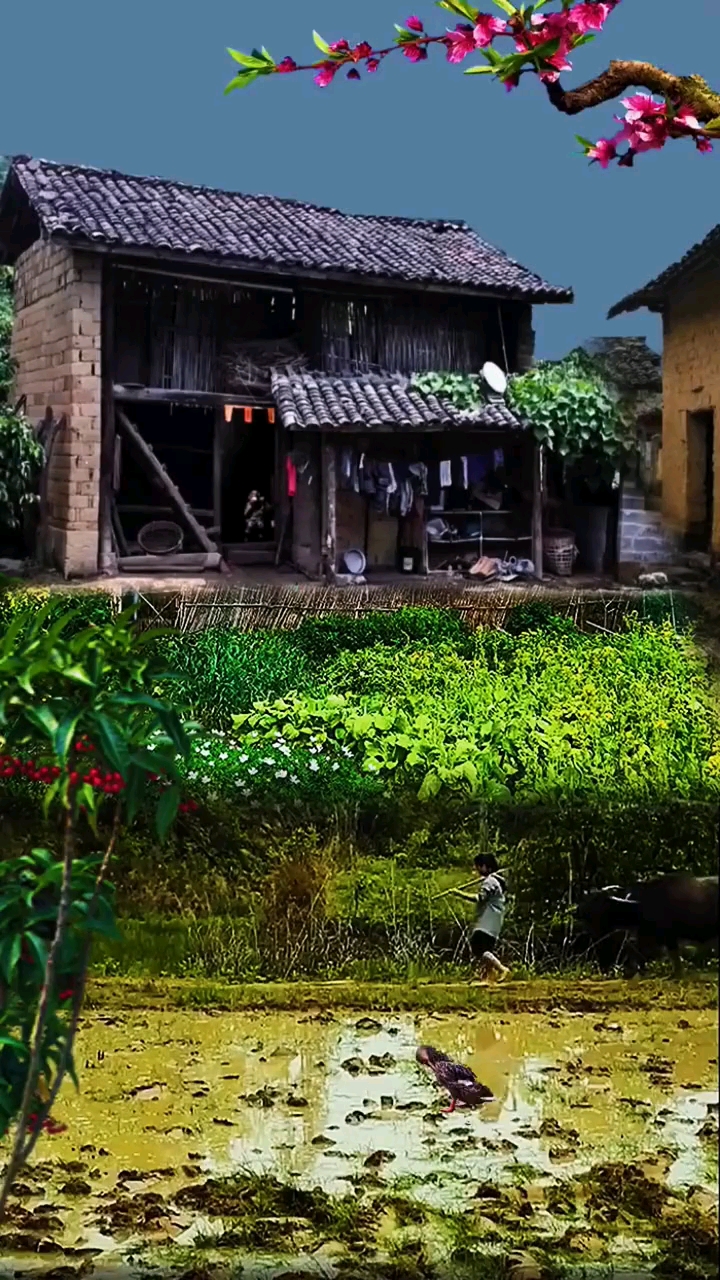 乡愁,老房子,田园