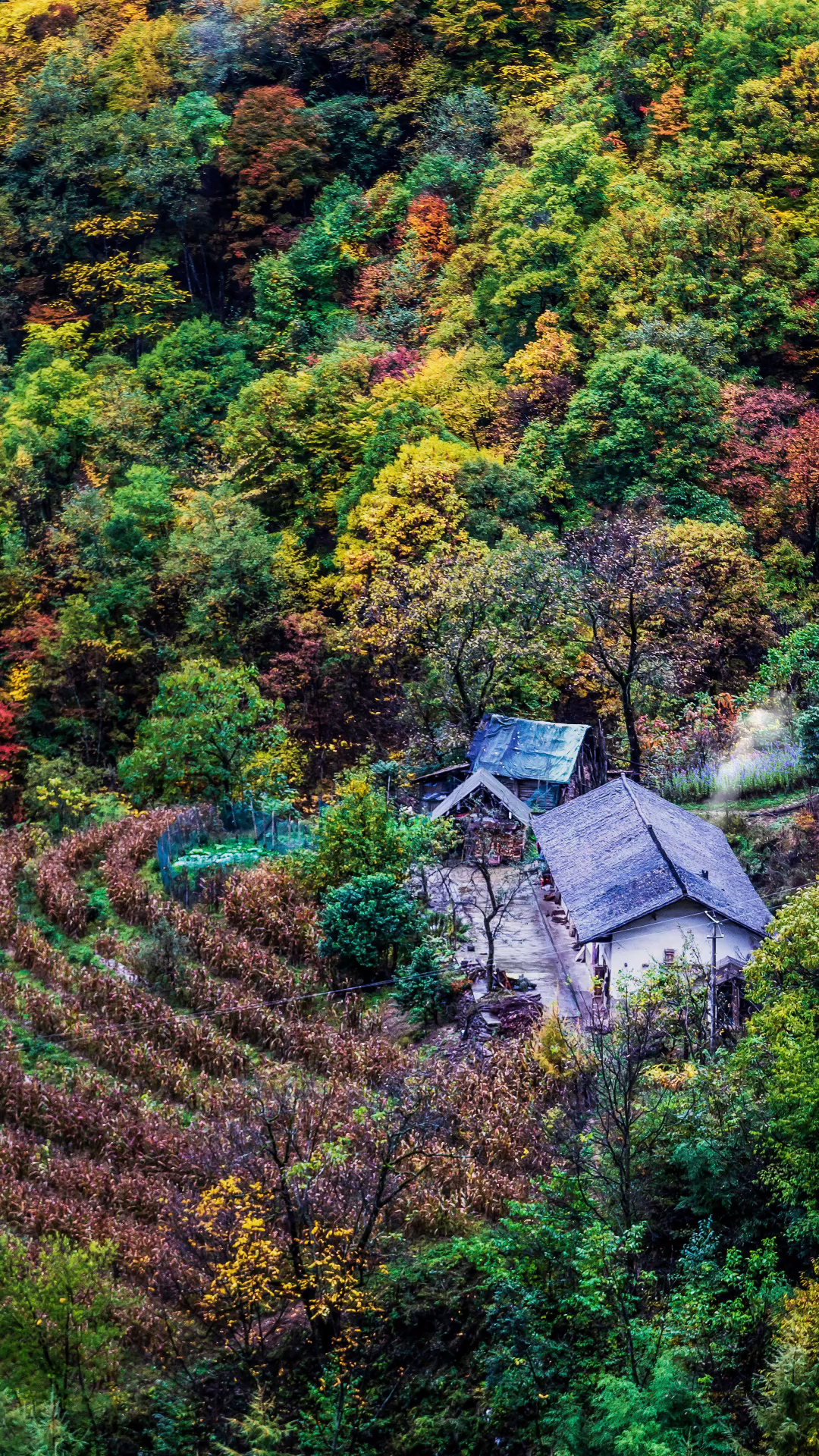 最美深山人家图片图片