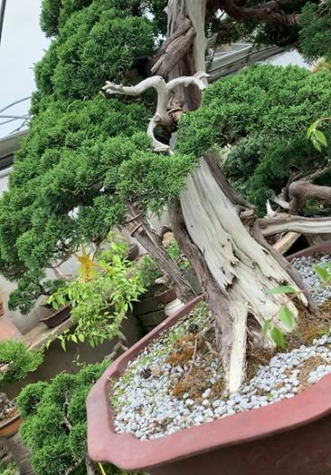 上海龙柏哪里有妹子美女上门服务微61073115