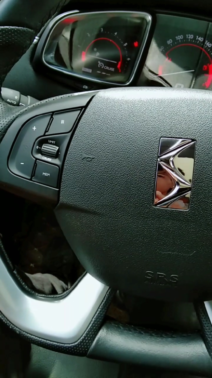 全网有那个高手认识这啥车的?一个闪电标志,太好看啦