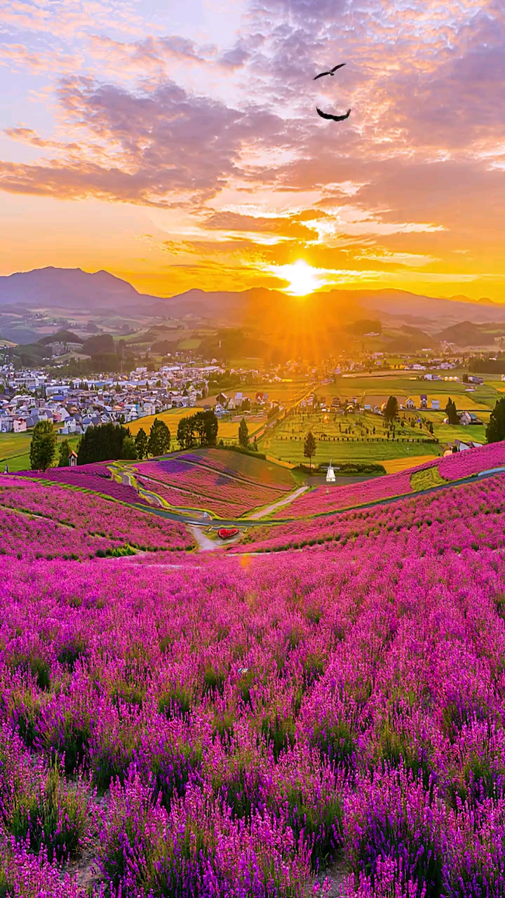 风景如画#想带你去看晴空万里,想大声告诉你我为你着迷;愿世界的煤妹