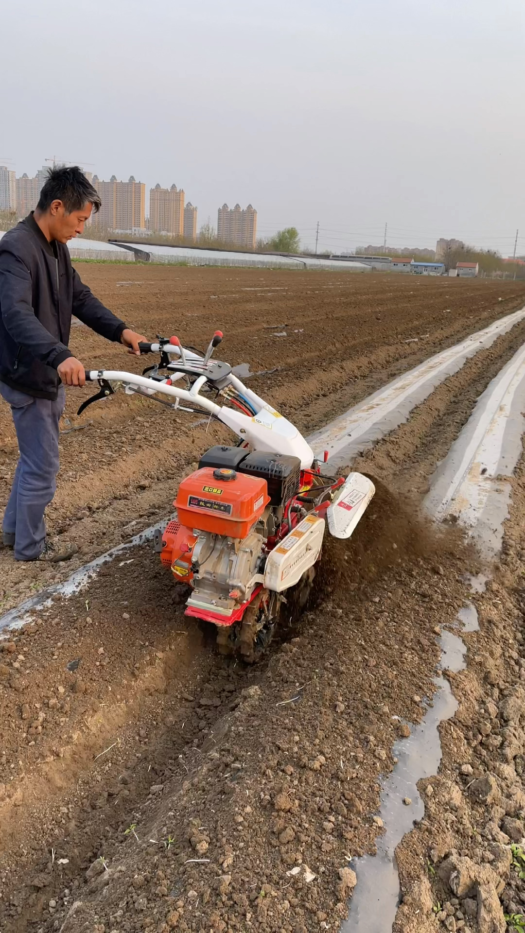 马铃薯覆土机#土豆覆土机,开沟培土起垄一机多用-度小视