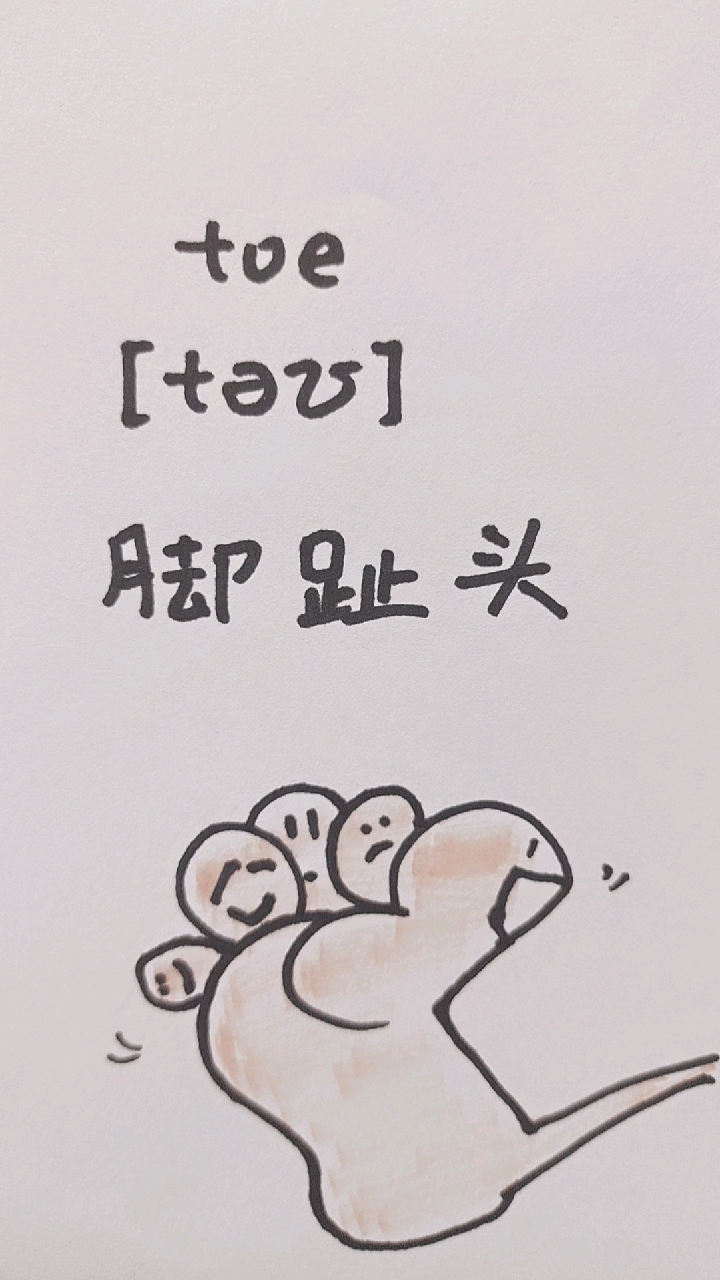 简笔漫画.toe脚趾头