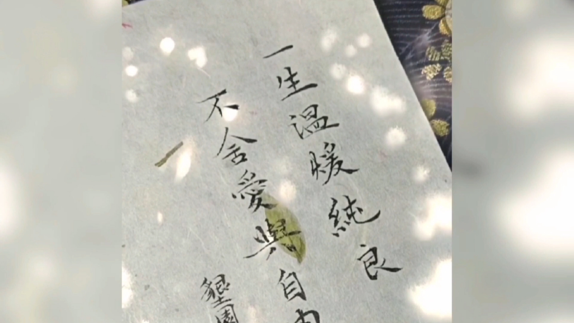 诗词#一生温暖纯良,不舍爱与自由