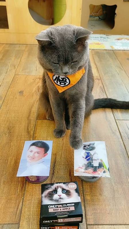 回复 4 研究生o8小时前 又倒下了 回复 0 慎寻楣ho1天前 明人不说暗话