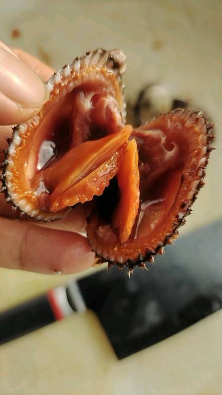 我要上热门#在海边随便捡到的血蛤蜊你知道正确的吃法吗?