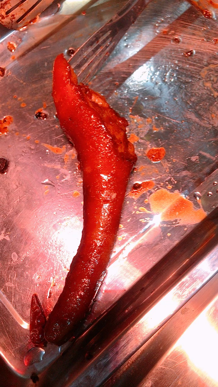 音为有你#卤猪尾巴