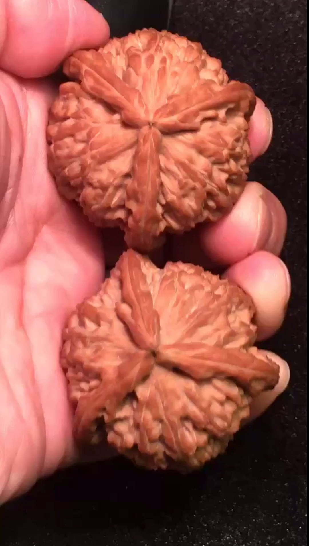 文玩核桃#收藏版白狮子三棱正奔