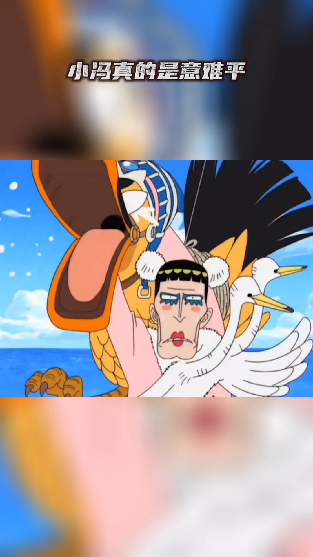 海贼王#小冯真的是意难平