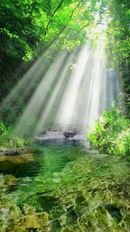 治愈系#闭上眼睛,认真聆听,原来大自然的声音可以缓解情绪.