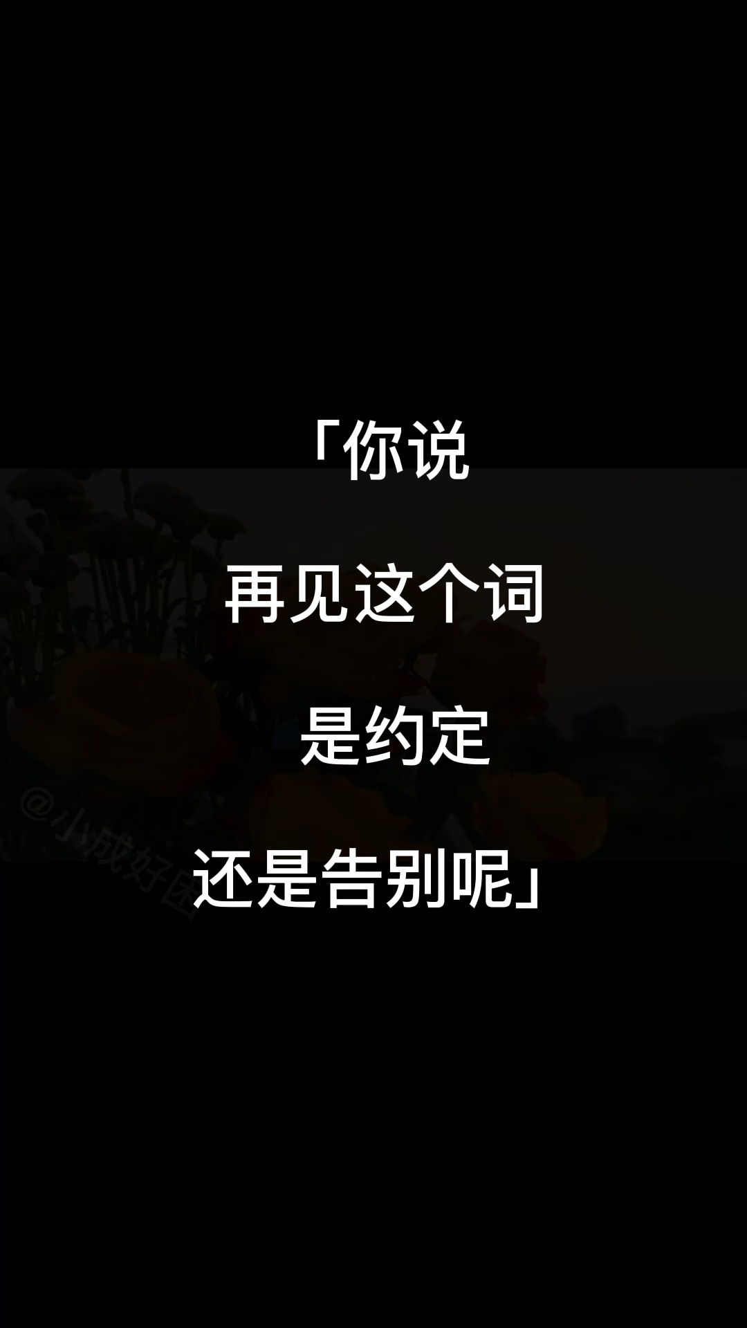 扎心情感语录你说再见这个词是约定还是告别呢