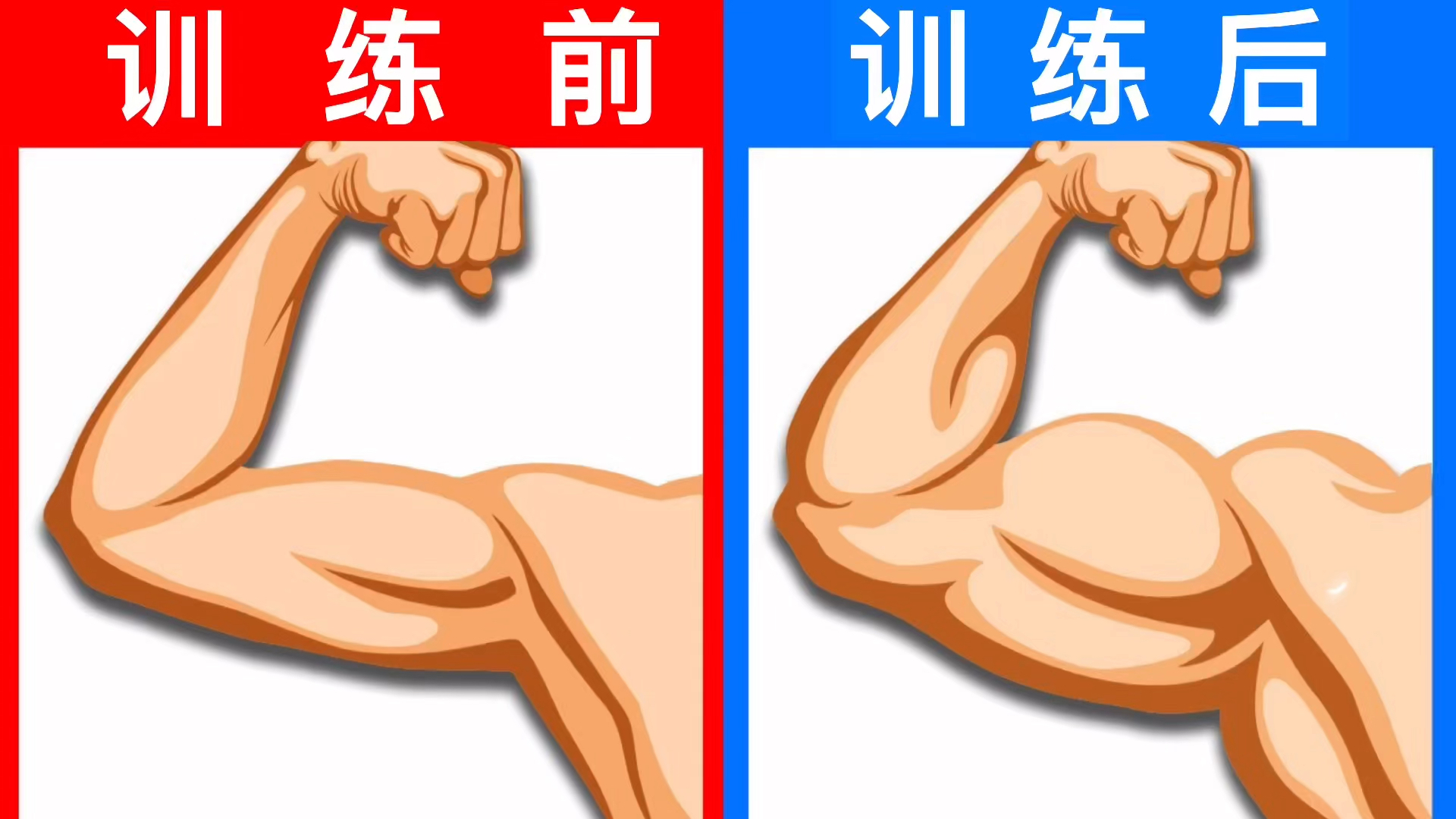 健身#6个动作轮番轰炸肱二,肱三头肌,这个夏天一定要逆袭!
