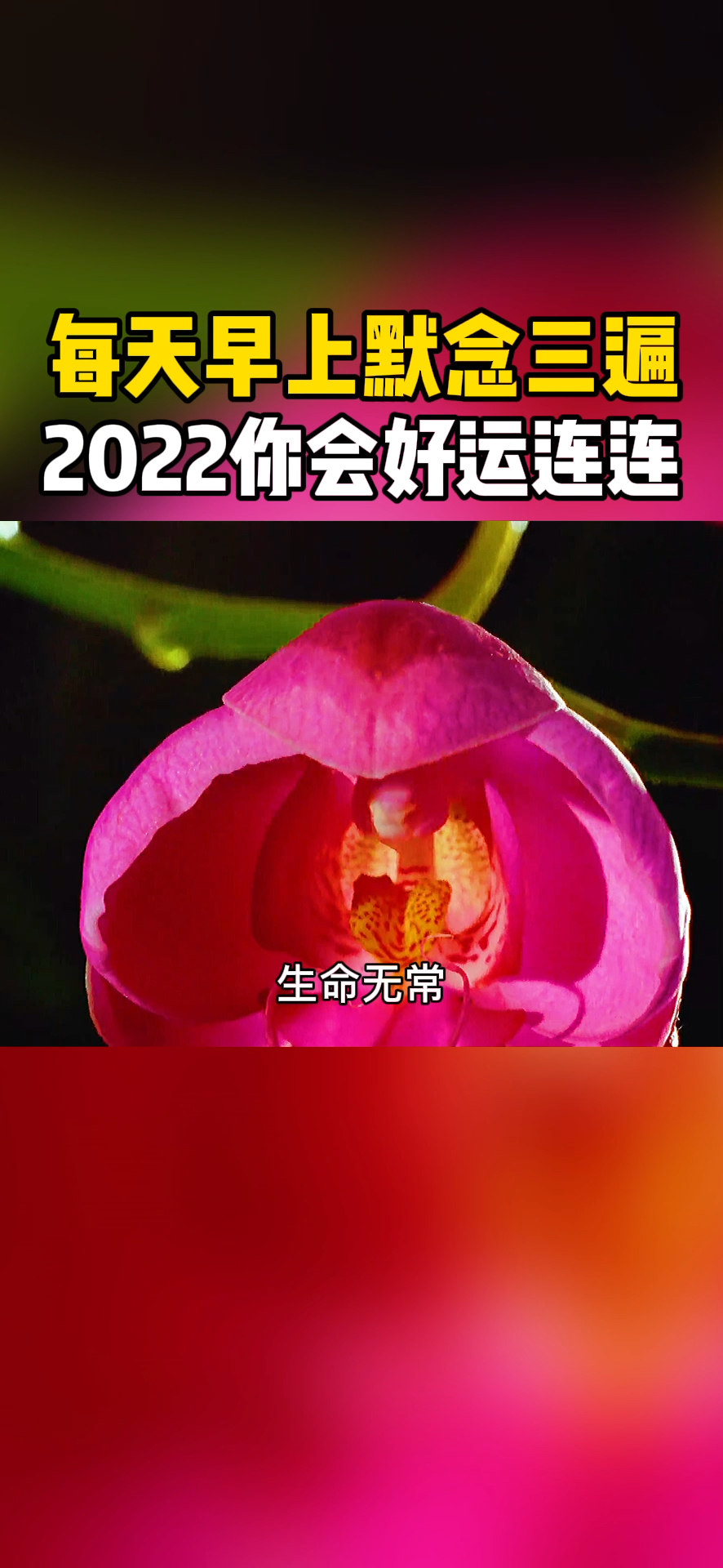 破壳计划每天早上默念三遍这些话2022年你会好运连连跟之前大不一样