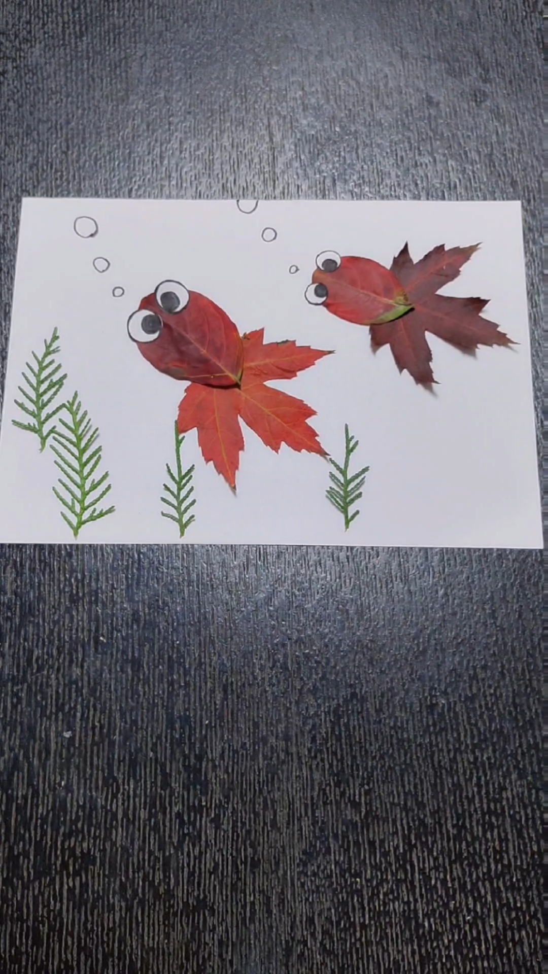 手工制作#秋天到了,快用红红的枫叶拼一幅小金鱼吧!超漂亮哟!