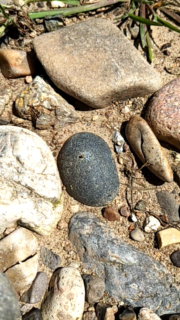 户外捡石头发现玛瑙