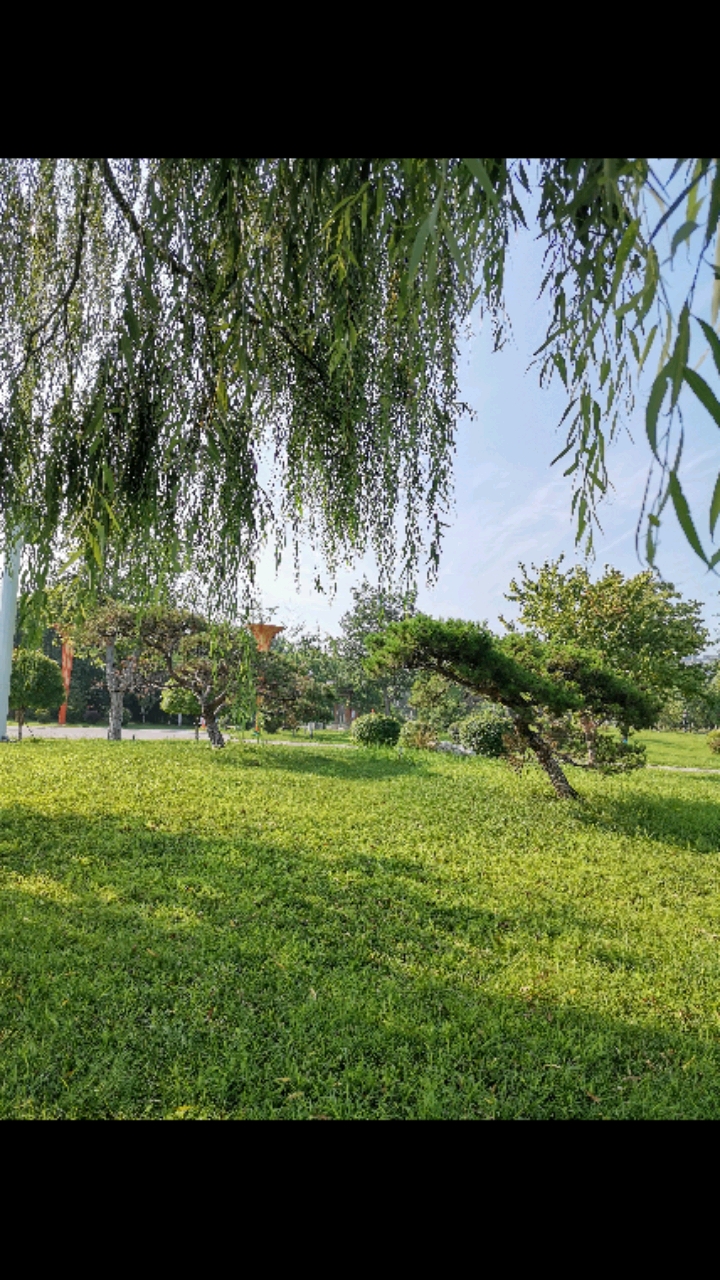 早晨天气凉爽,空气清新,公园散散步