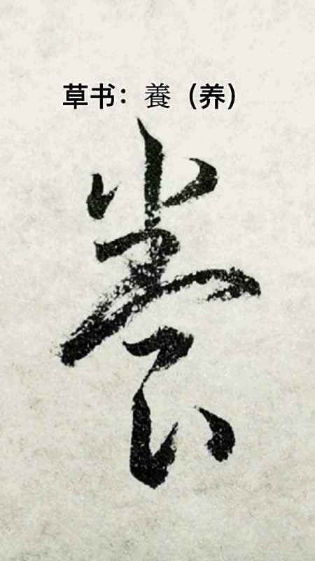 一起写草书#"养"字其中的一种草书写法