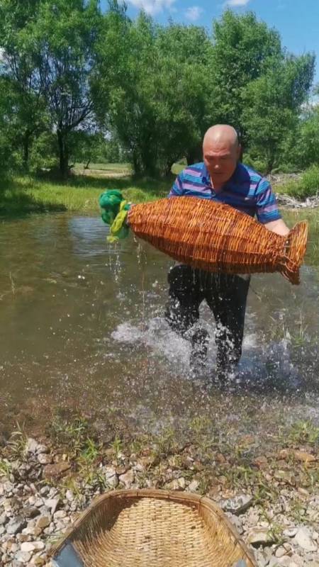 捕鱼经验丰富老渔夫用柳树条编的花篮子真爱上鱼.