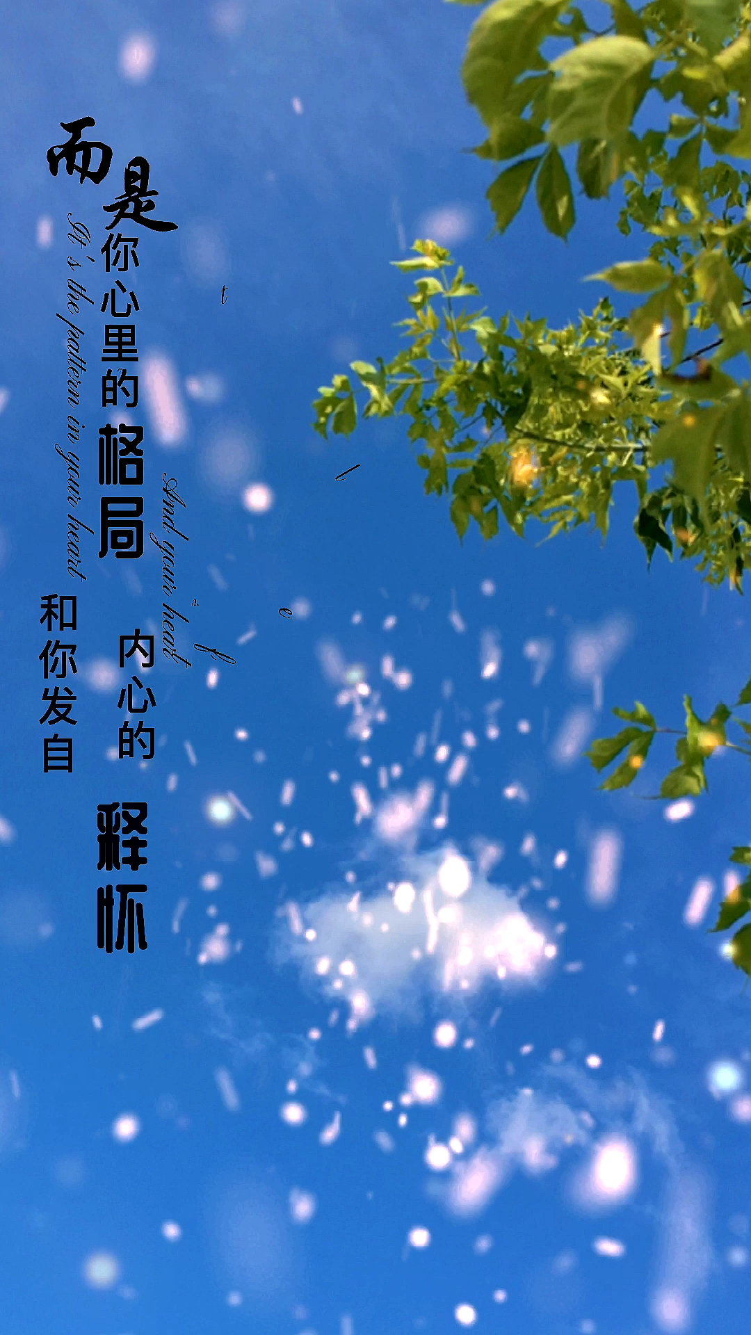 扎心情感语录#能将你从低谷里拖出来的,不是时间,而是格局,是释怀