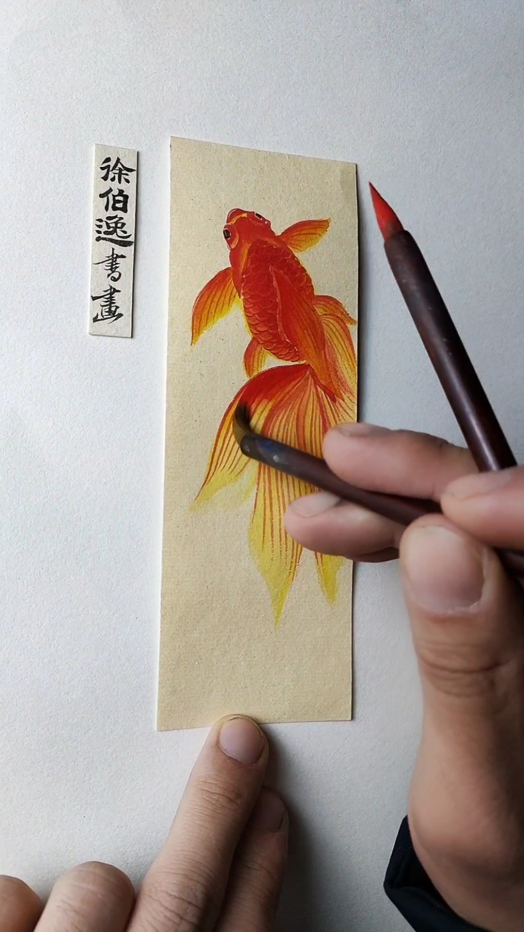 徐伯逸书画画一张漂亮的金鱼小书签