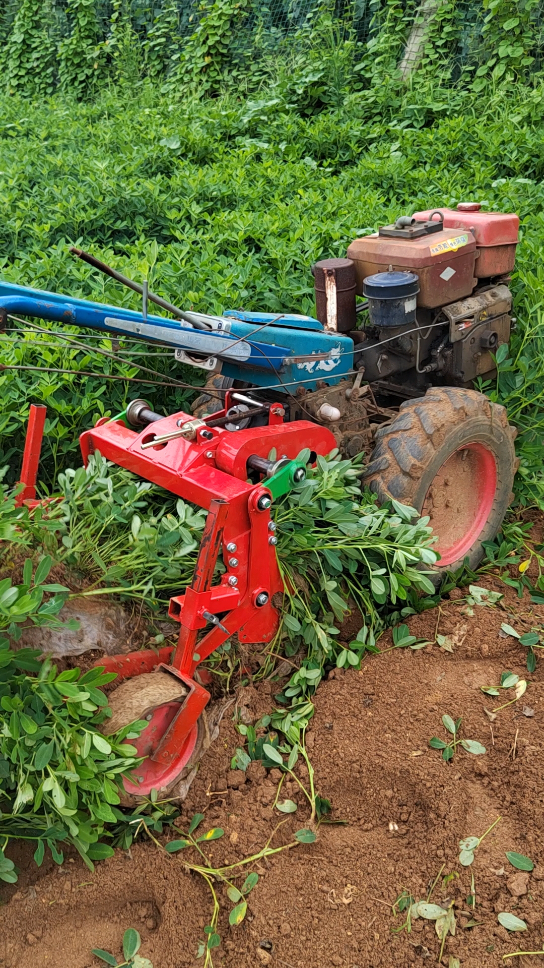 花生收获机手扶花生收获机宽60