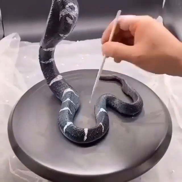 这逼真的眼镜蛇蛋糕,你下的了口嘛?