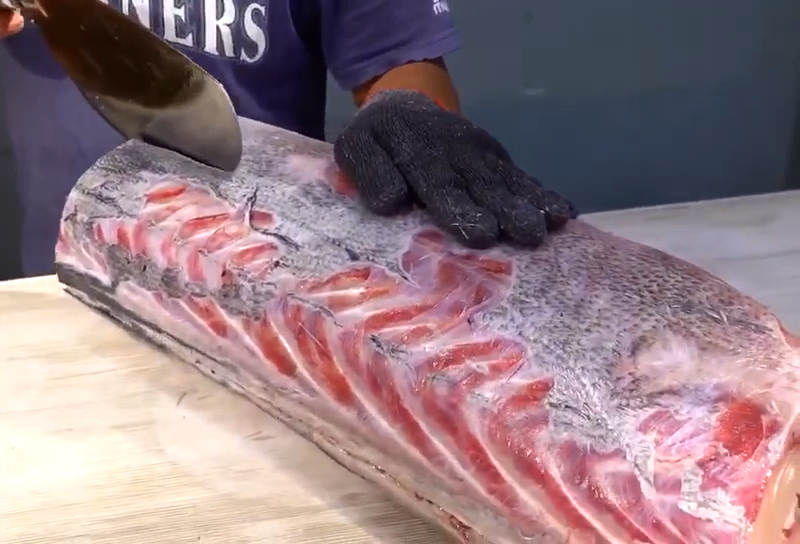 生猛海鲜旗鱼,刺身才是最美味的吃法!