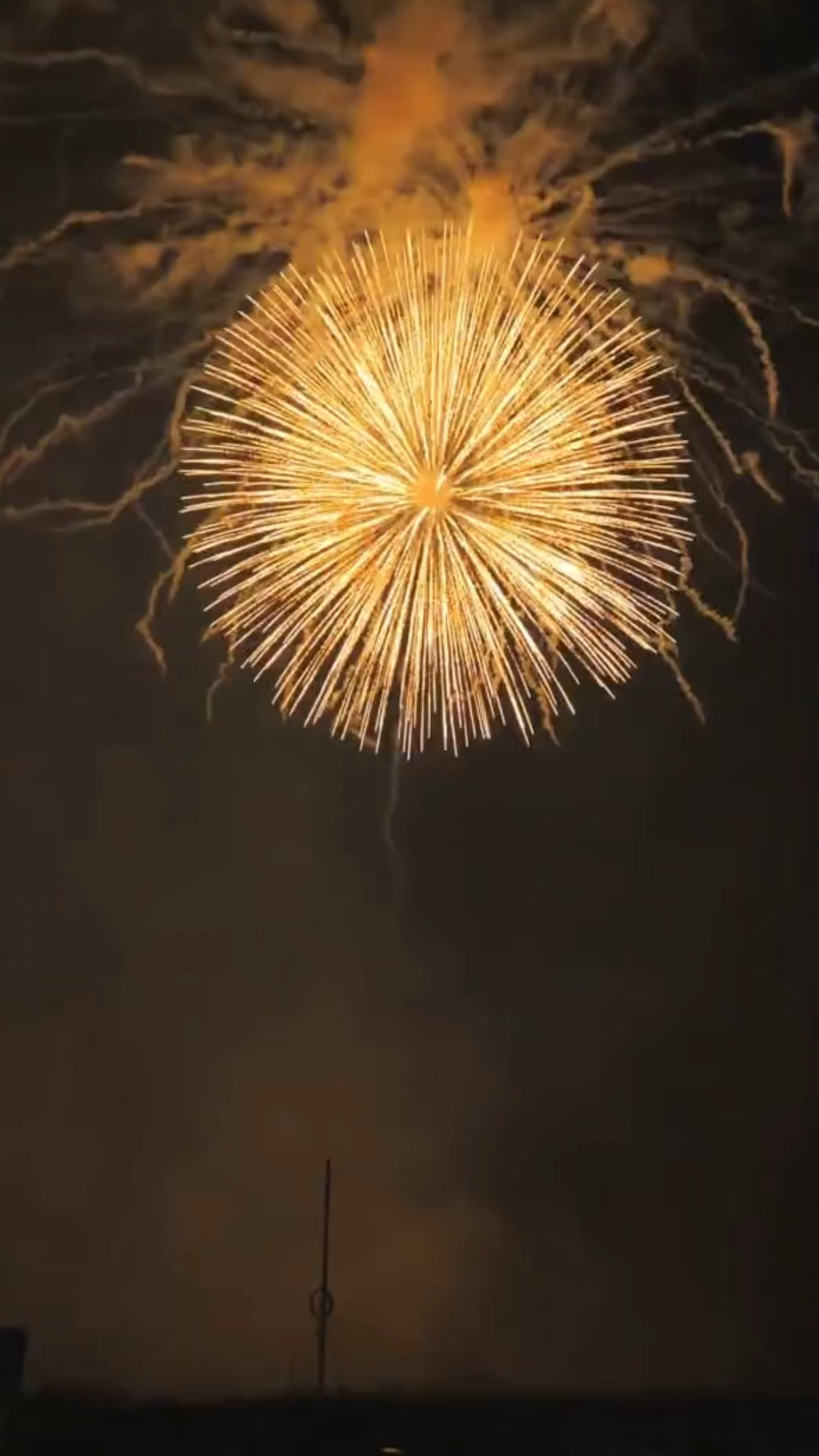 烟花#礼花弹烟花,艾特你女朋友一起看最精彩的瞬间-度小视