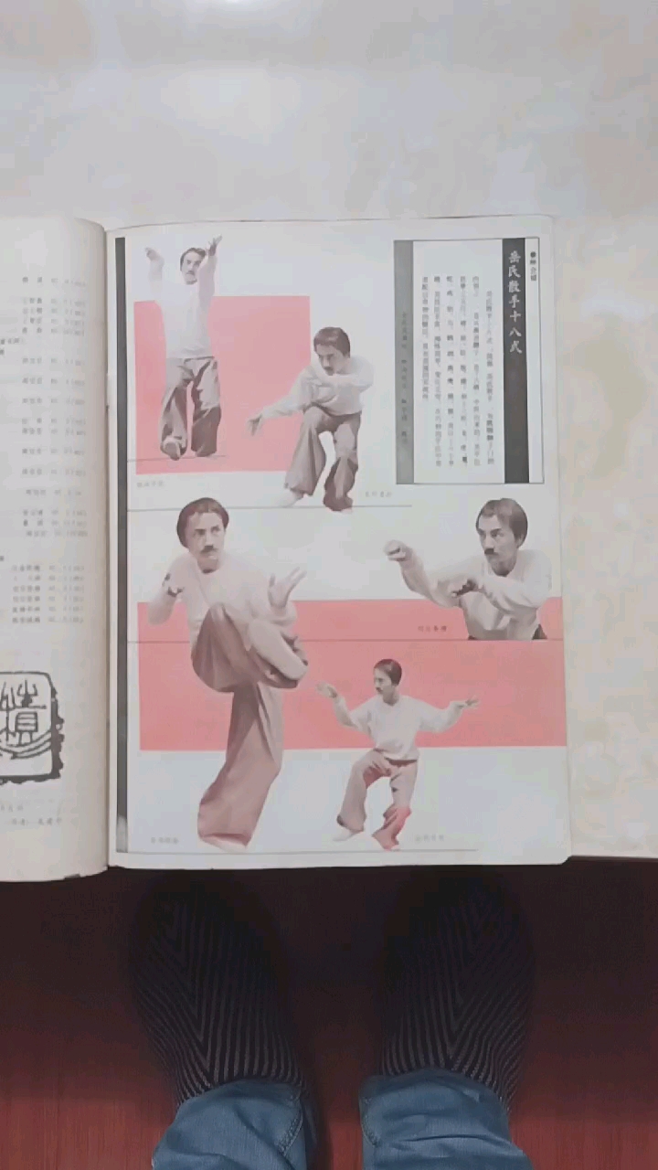 中华武术#岳氏散手十八式1985年中华武术第十二期