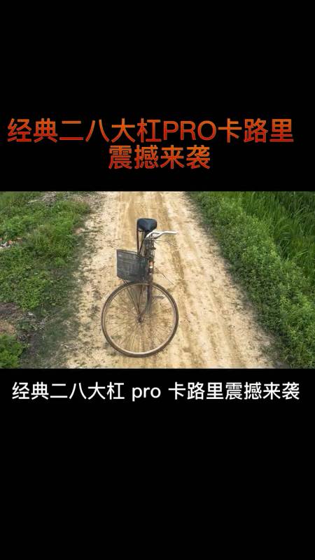 经典二八大杠pro,震撼来袭.