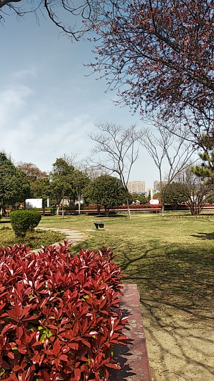 平顶山印象#平顶山湿地公园