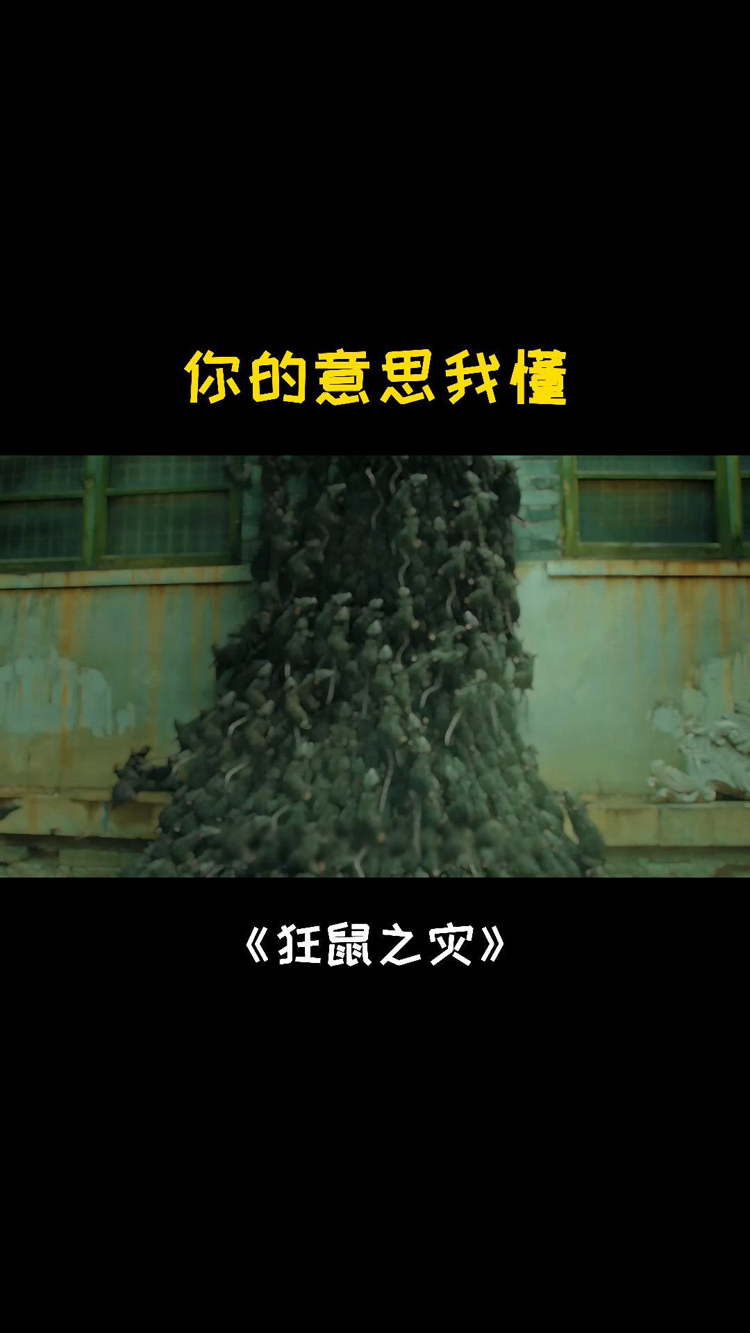 中国鼠灾电影图片