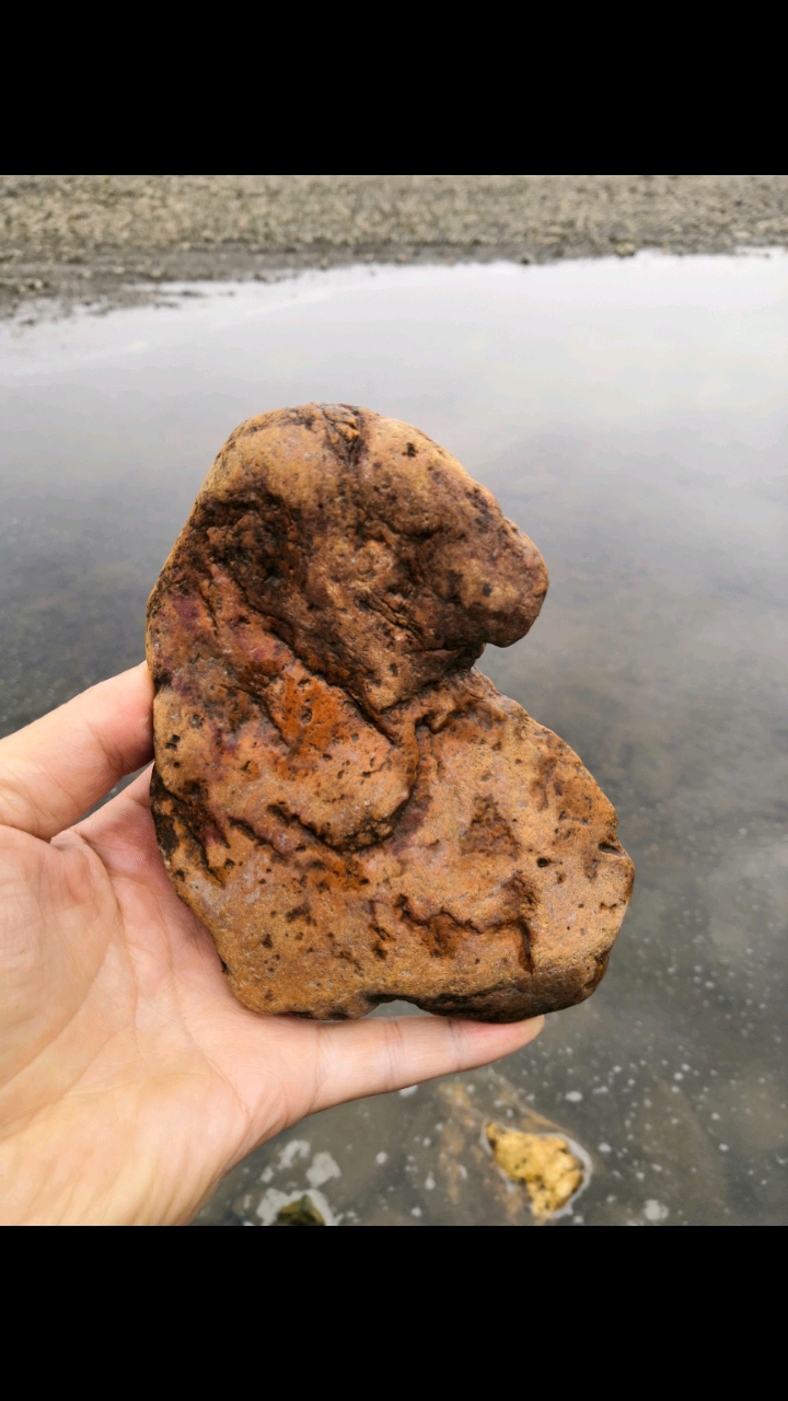 这石头像什么动物