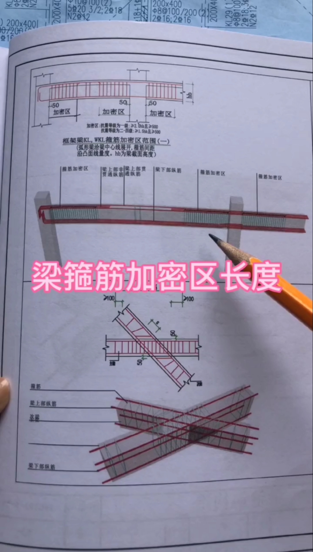 结构识图,梁箍筋加密区长度和根数!
