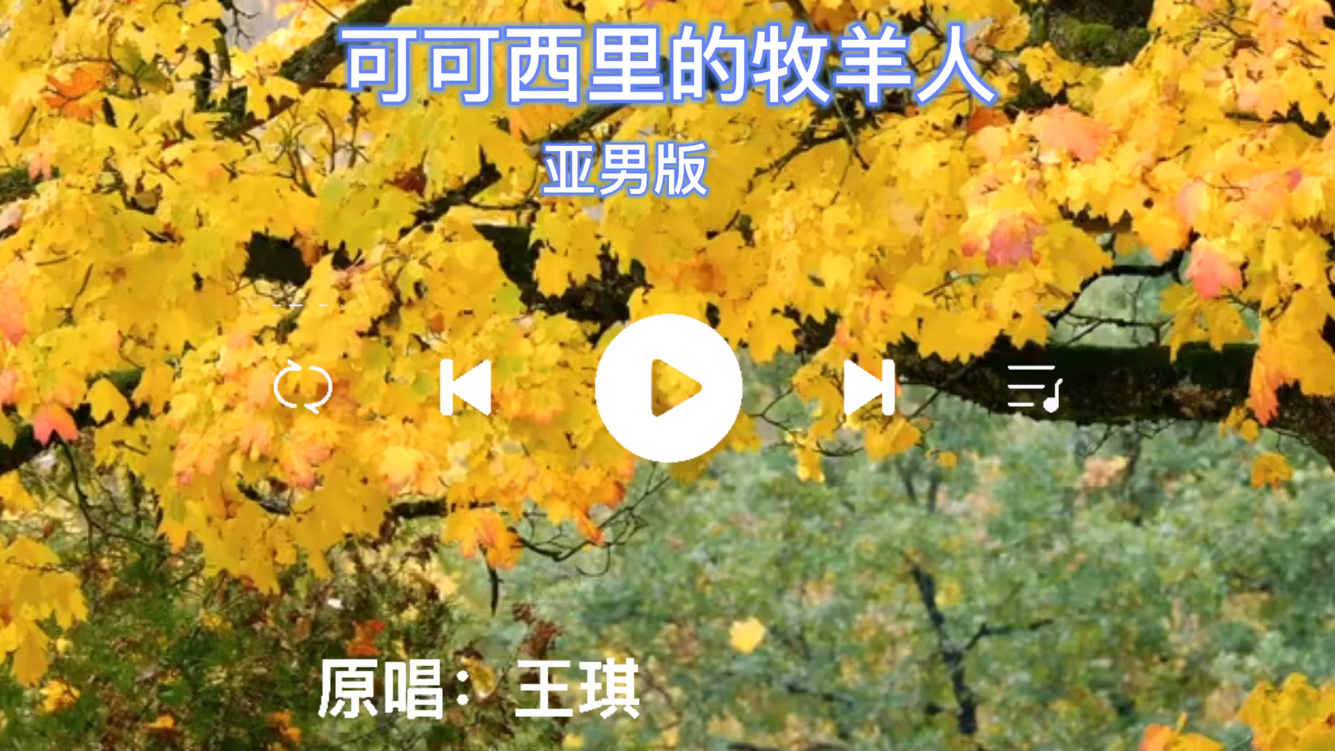 可可西里的牧羊人,亚男版